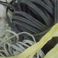 کابل دوربین مدار بسته و کابل شبکه|دوربین مداربسته|تایباد, |دیوار