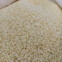 برنج ایرانی طارم فریدونکنار
