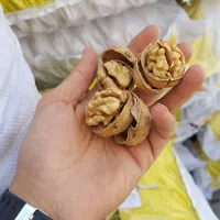 گردو پوست کاغذی|خوردنی و آشامیدنی|قم, شاه ابراهیم|دیوار