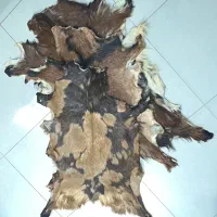 پوست دباغی شده