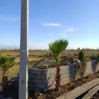 201متر زمین سلیم آباد چسبیده بافت