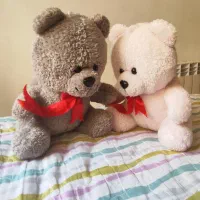 فروش انواع عروسک.