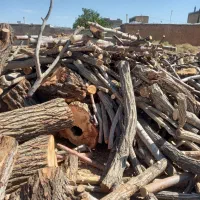 خرید چوب|خدمات باغبانی و درختکاری|آباده, |دیوار