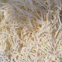 نیروی خدمات برای شرکت