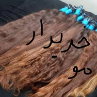 عنوان اگهی عکس