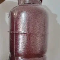 پیک نیک ۵ کیلویی نپتون گاز|اجاق گاز و لوازم برقی پخت‌وپز|شیراز, آزادگان|دیوار