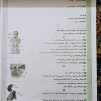 جزوه سوال زیست یازدهم، آمادگی امتحان نهایی مفت|کتاب و مجله آموزشی|مشهد, امام رضا (ع)|دیوار