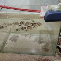 فروش آکواریوم با پمپ