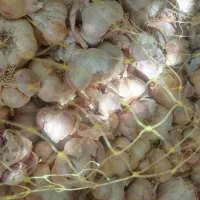 سیر اصل همدان