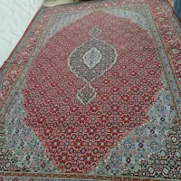 ۱۲متری|فرش|شهرکرد, |دیوار