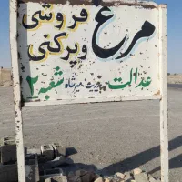 شاگرد مرغداری