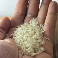 برنج پاکستانی مونالیزا  ۱۱/۲۱