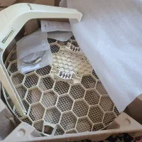 آنتن رادیویی