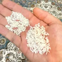 برنج طارم ونیمدانه  عمده