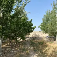 باغ و باغچه از ۲۵۰ متر با آب لوله کشی|فروش دفتر صنعتی، کشاورزی، تجاری|تهران, وحیدیه|دیوار