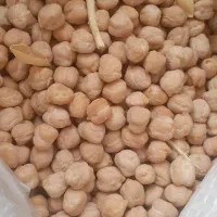 نخود دیم درجه ۱