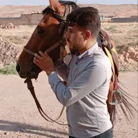 اسب نریان ترکمن ۳ساله