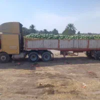 اینترناش با گاری|خودرو سنگین|تهران, طرشت|دیوار