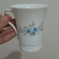 فنجان چینی