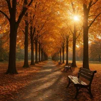 خدمات تخصصی باغبانی و فضای سبز