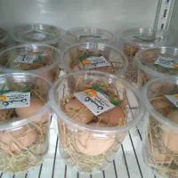 تخم مرغ گلپایگان|خوردنی و آشامیدنی|بهشهر, |دیوار