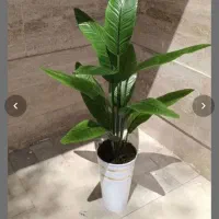 گل‌‌مصنوعی