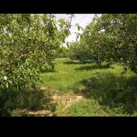 باغ 3200متری در یاغبستلو اهر