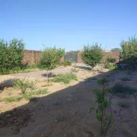 باغ در بافت روستا مبیاشد|فروش زمین و ملک کلنگی|رضویه, |دیوار