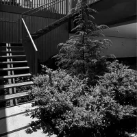 ۱۰۰متر«برند مجلل آرین»متریال اروپایی نقشه ژورنالی|فروش آپارتمان|مشهد, الهیه|دیوار