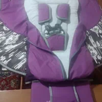 کالسکه و رورووک