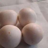 الماس اسیاب|کلکسیون اشیاء عتیقه|شریفآباد, |دیوار