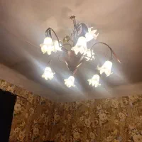 دوجفت لوستر گل لاله