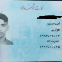 کیف پول قهوه ای گم شده