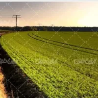 فروش-زمین