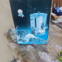 سبزی خوردکن کنوود  صفر استفاده نشده|خردکن، آسیاب، غذاساز|رشت, حمیدیان|دیوار