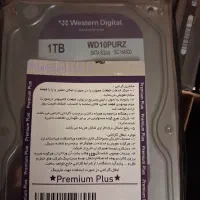 هارد ۱ ترابایت وسترن بنفش اصلی با یکسال گارانتی