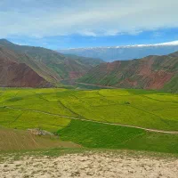 فروش زانتیا