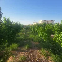 ویلا بزرگ شیک|فروش خانه و ویلا|ابرکوه, |دیوار