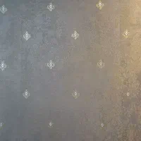 فروشنده یکبار مصرف وشوینده