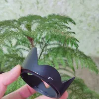 لنز 18 55 nikon vr|دوربین عکاسی و فیلم‌برداری|کرمانشاه, |دیوار