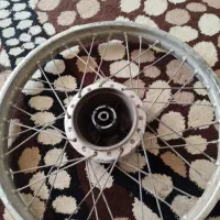 سالم بدونه هیچ عیبی وایرادی