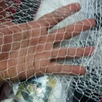 تور ابریشم چشمه ریز|ماهیگیری|اهواز, کمپلو جنوبی|دیوار