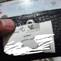 گم شده