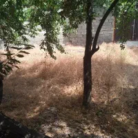 باغچه مشجر سولقان|فروش زمین و ملک کلنگی|کن, |دیوار