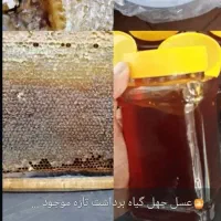 عسل درجه یک عمده فروشی