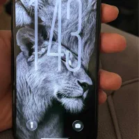 IPhone 11 Pro Max|موبایل|تهران, مرزداران|دیوار