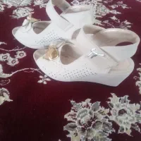 کفش و....|کیف، کفش، کمربند|خوی, |دیوار