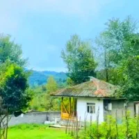 خانه کلنگی ۵۴۵ متر جنگلی مدارک کامل آسفالت|فروش زمین و ملک کلنگی|فومن, |دیوار