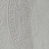 پتینه کاری|مصالح و تجهیزات ساختمان|رشت, منظریه|دیوار