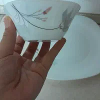 ۲دست آکروپال  اسپانیا|ظروف سرو و پذیرایی|قم, نیروگاه|دیوار